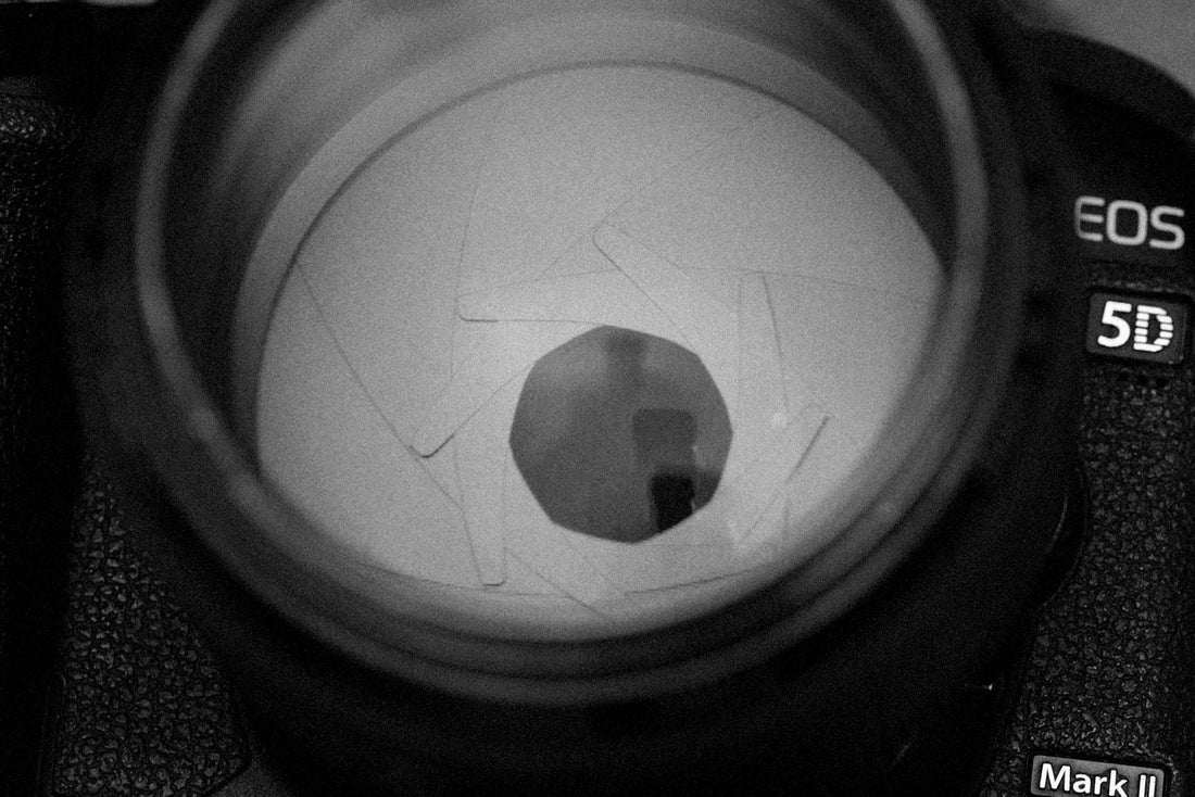 Vintage Lenses Shaping Optical Design Trends in 2026 - Dutch|Thrift